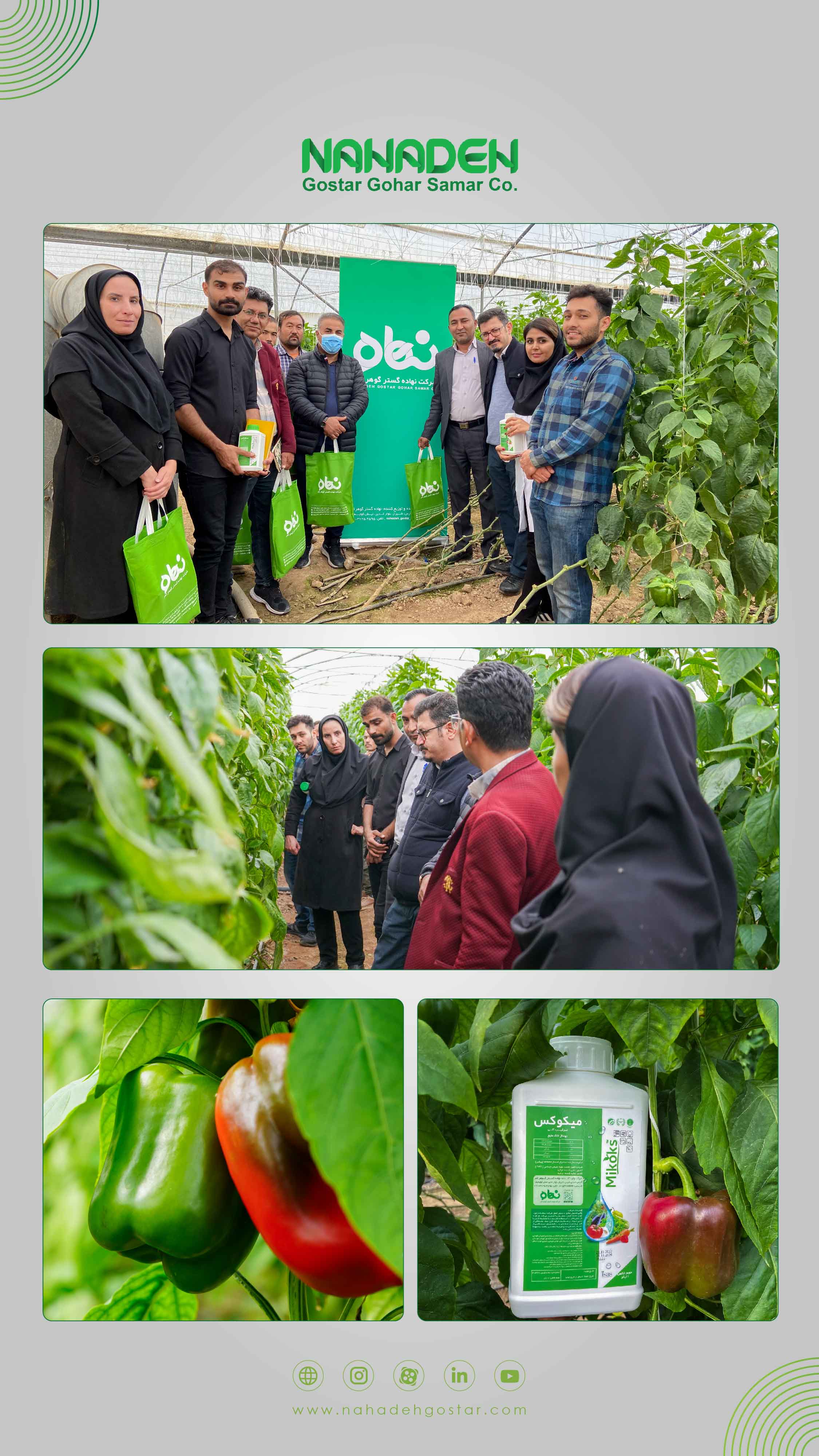 Field Day, Saadat Shahr city, Pasargad County, Fars province, Iran 